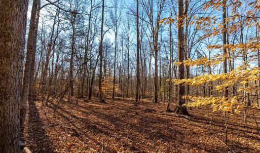 Photo #55 of 8 Cottage Charm, Goode, VA 8.7 acres