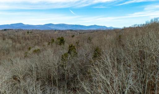 Photo #33 of 8 Cottage Charm, Goode, VA 8.7 acres