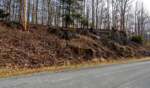 Photo #5 of 8 Cottage Charm, Goode, VA 8.7 acres