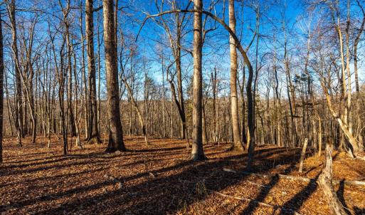 Photo #52 of 8 Cottage Charm, Goode, VA 8.7 acres