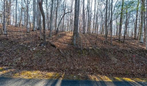 Photo #45 of 8 Cottage Charm, Goode, VA 8.7 acres