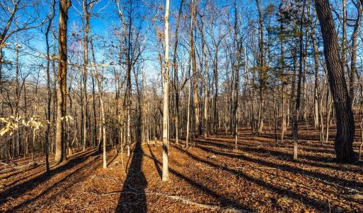 Photo #49 of 8 Cottage Charm, Goode, VA 8.7 acres