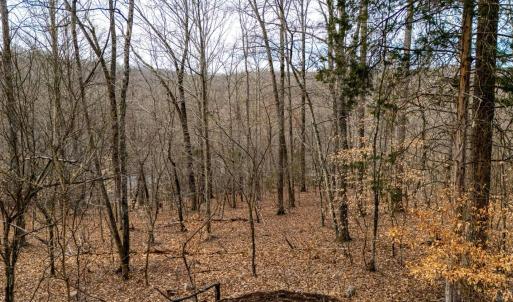 Photo #41 of 8 Cottage Charm, Goode, VA 8.7 acres