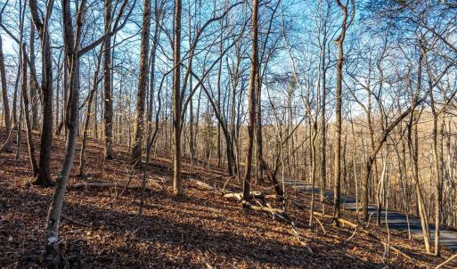 Photo #57 of 8 Cottage Charm, Goode, VA 8.7 acres