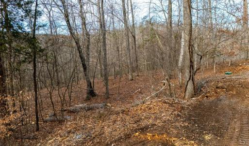 Photo #42 of 8 Cottage Charm, Goode, VA 8.7 acres