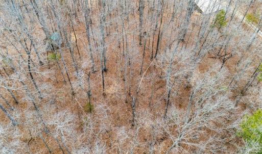 Photo #36 of 8 Cottage Charm, Goode, VA 8.7 acres