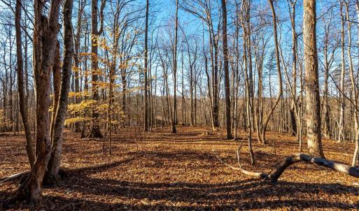 Photo #54 of 8 Cottage Charm, Goode, VA 8.7 acres