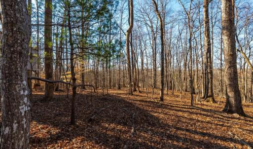 Photo #50 of 8 Cottage Charm, Goode, VA 8.7 acres