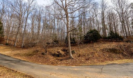 Photo #10 of 8 Cottage Charm, Goode, VA 8.7 acres