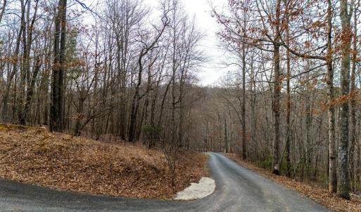 Photo #43 of 8 Cottage Charm, Goode, VA 8.7 acres