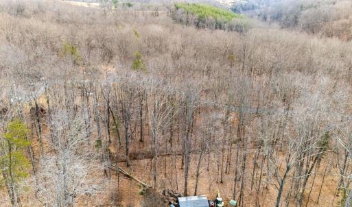 Photo #32 of 8 Cottage Charm, Goode, VA 8.7 acres