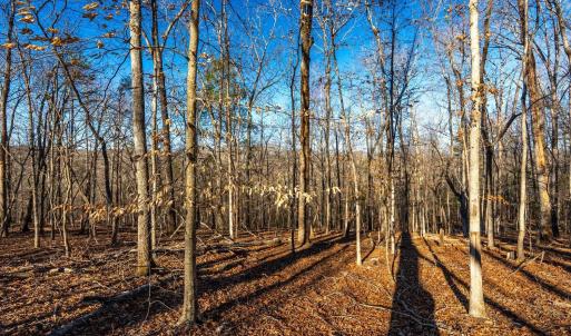 Photo #48 of 8 Cottage Charm, Goode, VA 8.7 acres