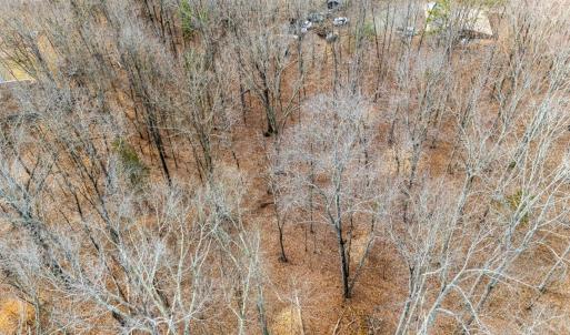 Photo #38 of 8 Cottage Charm, Goode, VA 8.7 acres