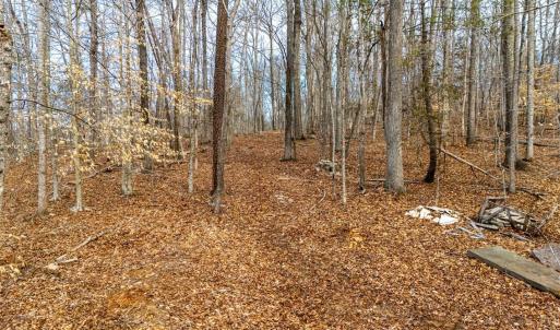 Photo #40 of 8 Cottage Charm, Goode, VA 8.7 acres