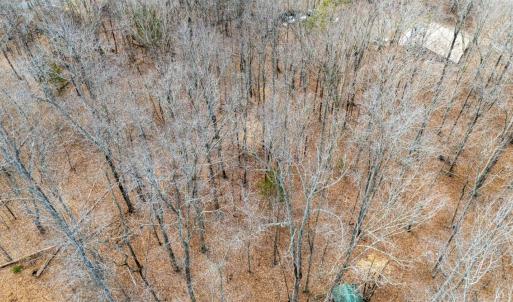 Photo #37 of 8 Cottage Charm, Goode, VA 8.7 acres