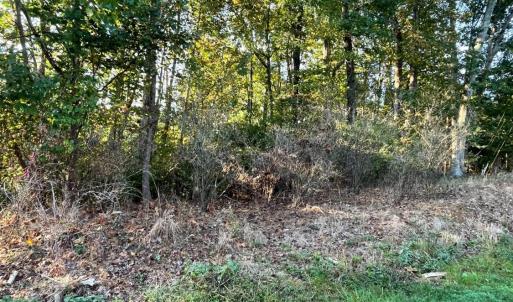 104 Arlington Heights Drive