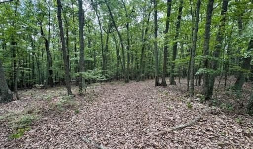 Photo #8 of 362 Cabin Lane, Gladstone, VA 12.2 acres