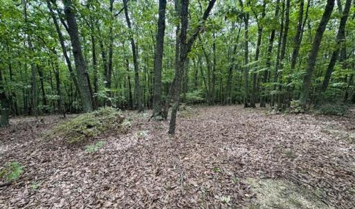 Photo #6 of 362 Cabin Lane, Gladstone, VA 12.2 acres