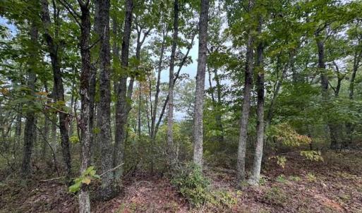 Photo #7 of 362 Cabin Lane, Gladstone, VA 12.2 acres