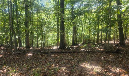 Photo #1 of Audubon Drive, Lynchburg, VA 1.0 acres