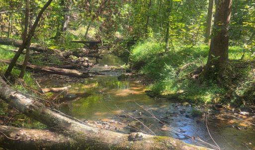 Photo #4 of Audubon Drive, Lynchburg, VA 1.0 acres