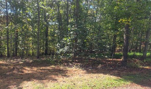 Photo #2 of Audubon Drive, Lynchburg, VA 1.0 acres