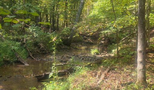 Photo #3 of Audubon Drive, Lynchburg, VA 1.0 acres