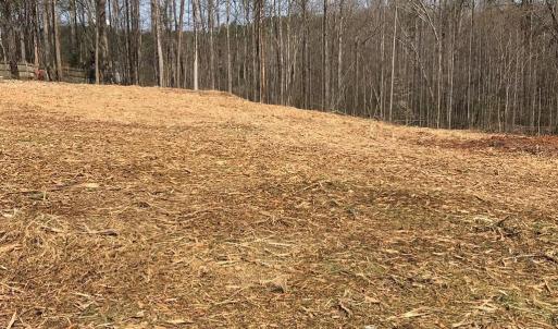 Photo #6 of Milnwood Road, Farmville, VA 1.4 acres