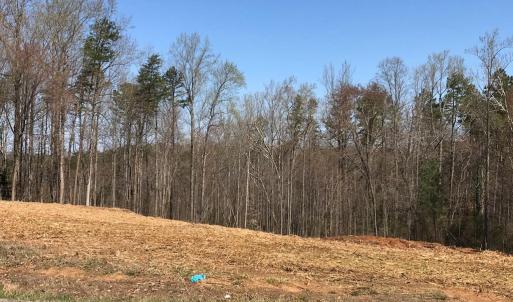 Photo #1 of Milnwood Road, Farmville, VA 1.4 acres