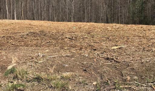 Photo #5 of Milnwood Road, Farmville, VA 1.4 acres