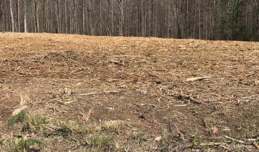 Photo #5 of Milnwood Road, Farmville, VA 1.4 acres