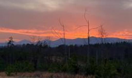 Photo #2 of WEST PERCH RD, Monroe, VA 21.0 acres