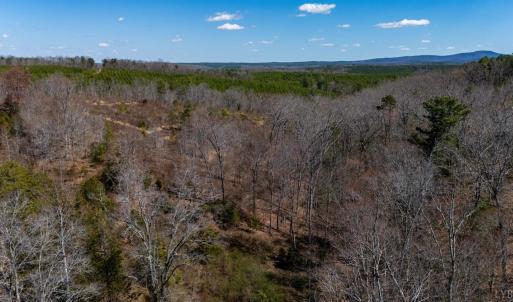 Photo #26 of Norwood Road, Gladstone, VA 26.8 acres