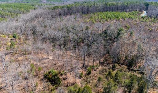 Photo #32 of Norwood Road, Gladstone, VA 26.8 acres