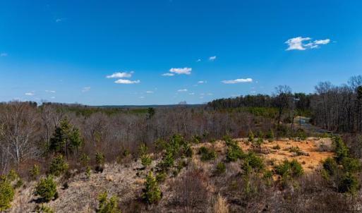 Photo #22 of Norwood Road, Gladstone, VA 26.8 acres