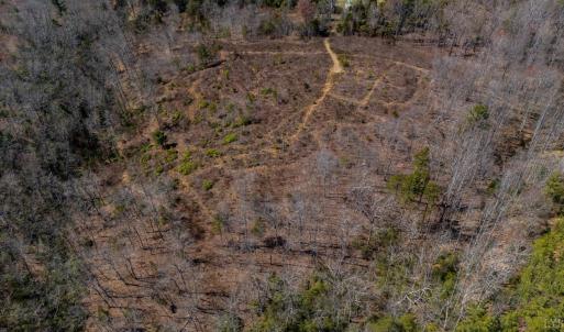 Photo #15 of Norwood Road, Gladstone, VA 26.8 acres