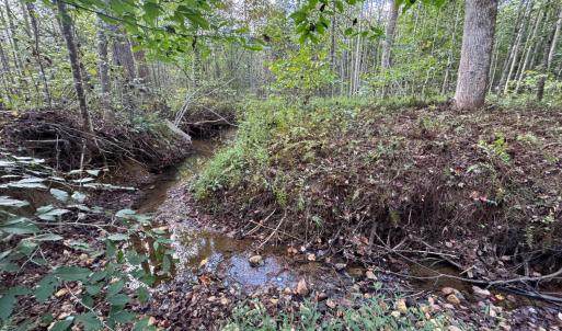 Photo #7 of Mountain Ridge Lane, Shipman, VA 9.3 acres