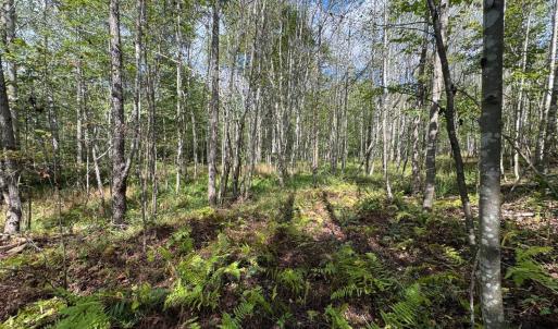 Photo #6 of Mountain Ridge Lane, Shipman, VA 9.3 acres