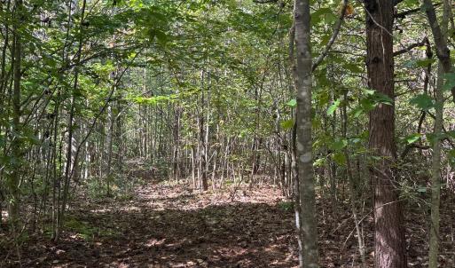 Photo #5 of Mountain Ridge Lane, Shipman, VA 9.3 acres