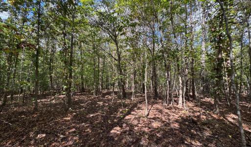 Photo #3 of Mountain Ridge Lane, Shipman, VA 9.3 acres