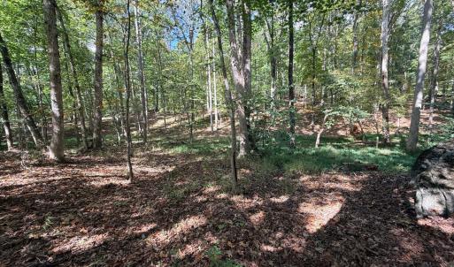 Photo #18 of Lot 25 Cutlass Road, Moneta, VA 0.5 acres
