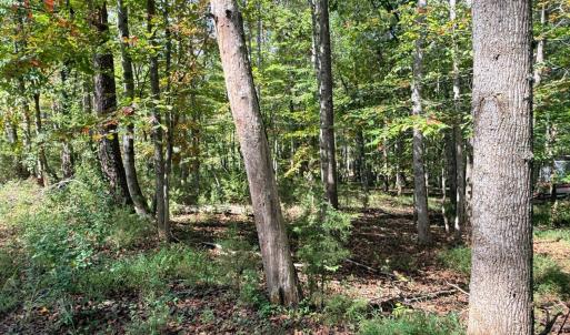 Photo #9 of Lot 25 Cutlass Road, Moneta, VA 0.5 acres