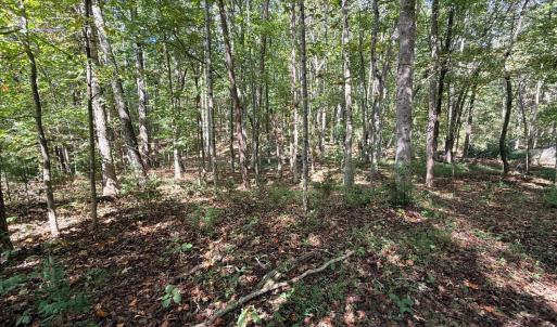Photo #17 of Lot 25 Cutlass Road, Moneta, VA 0.5 acres