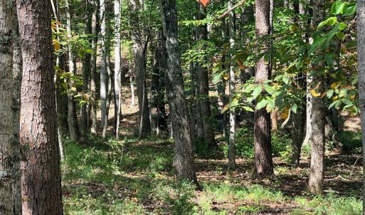 Photo #10 of Lot 25 Cutlass Road, Moneta, VA 0.5 acres
