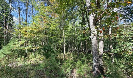 Photo #13 of Lot 25 Cutlass Road, Moneta, VA 0.5 acres