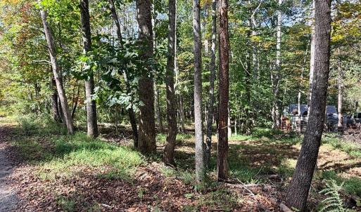 Photo #8 of Lot 25 Cutlass Road, Moneta, VA 0.5 acres