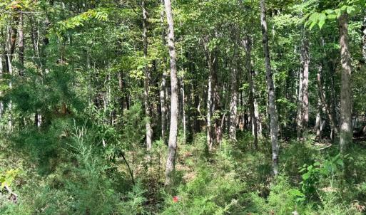 Photo #12 of Lot 25 Cutlass Road, Moneta, VA 0.5 acres