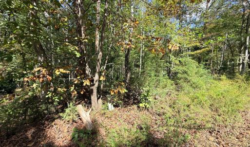 Photo #5 of Lot 25 Cutlass Road, Moneta, VA 0.5 acres