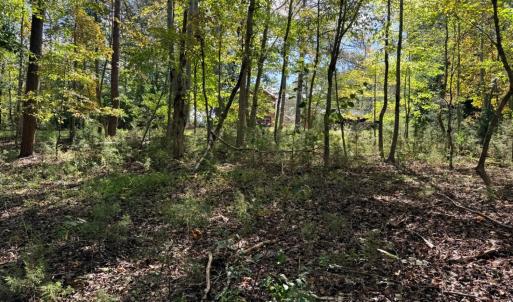 Photo #21 of Lot 25 Cutlass Road, Moneta, VA 0.5 acres