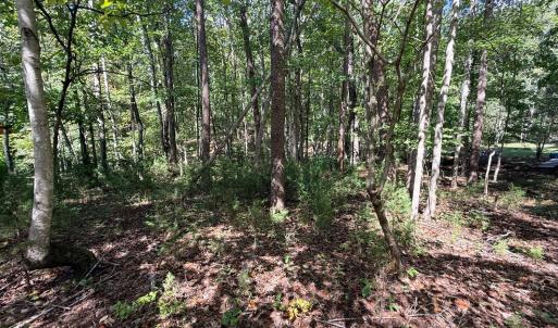 Photo #16 of Lot 25 Cutlass Road, Moneta, VA 0.5 acres